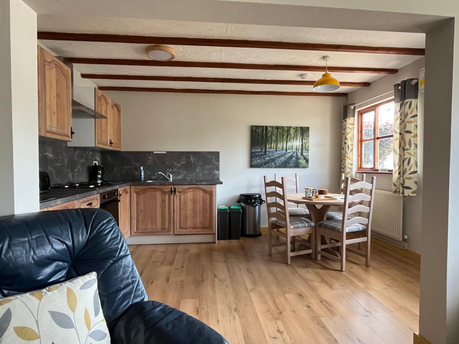 Forge LR Kitchen 6
